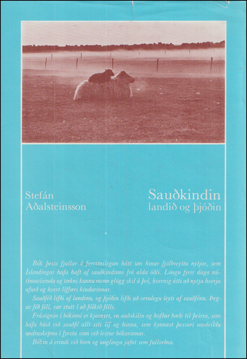 Sauðkindin, landið og þjóðin # 89588