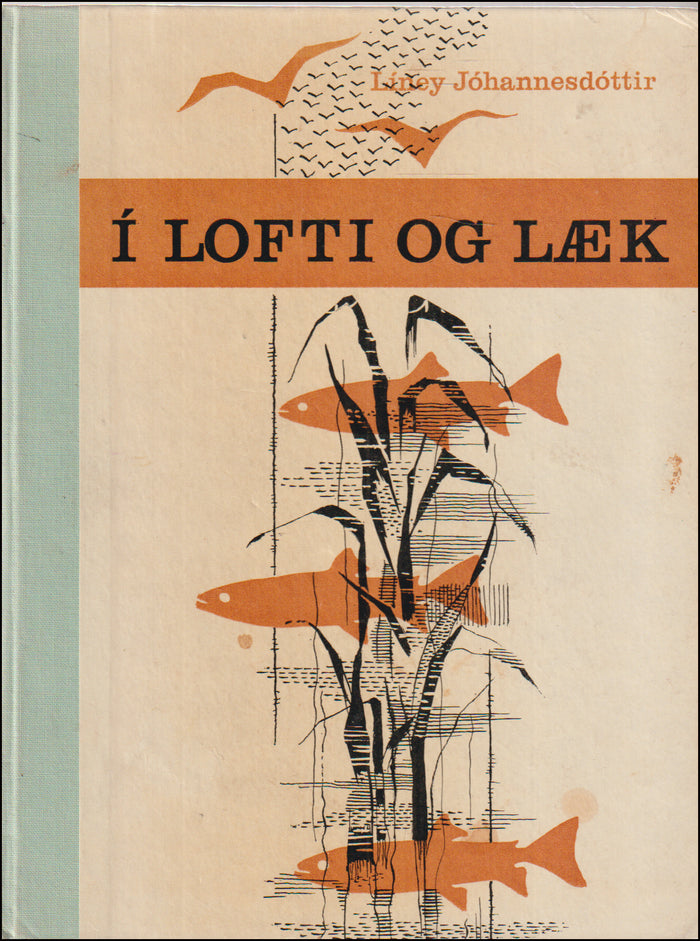 Í lofti og læk # 89973