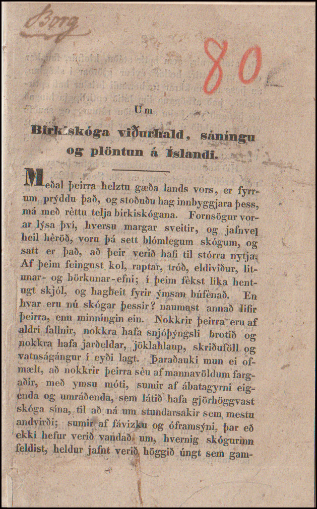 Um Birkiskóga vidurhald, sáningu og plöntun á Íslandi # 90359