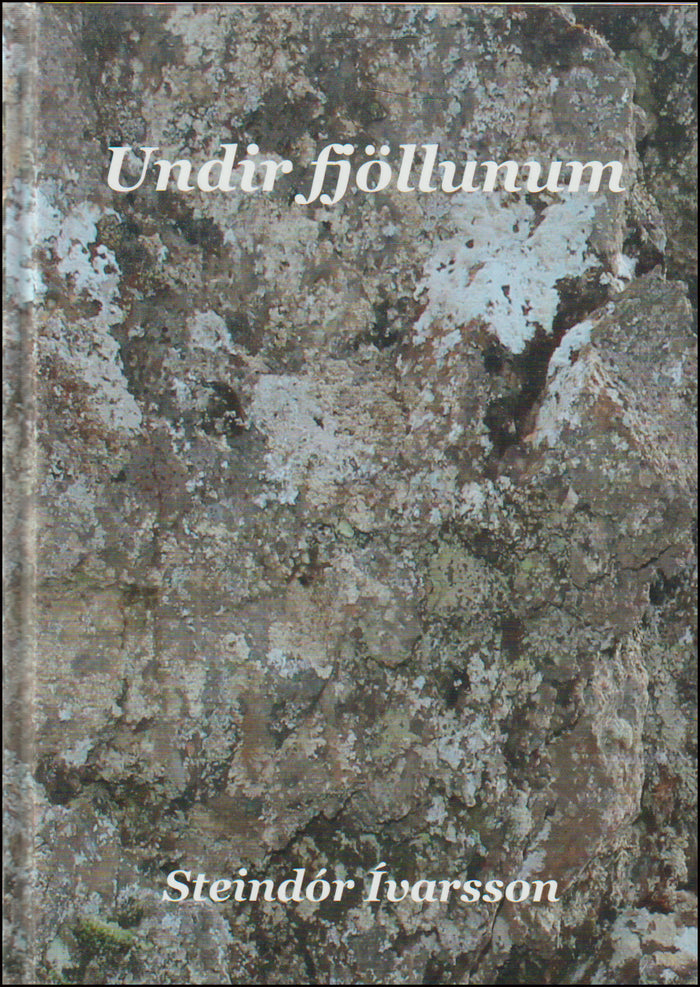 Undir fjöllunum # 90387