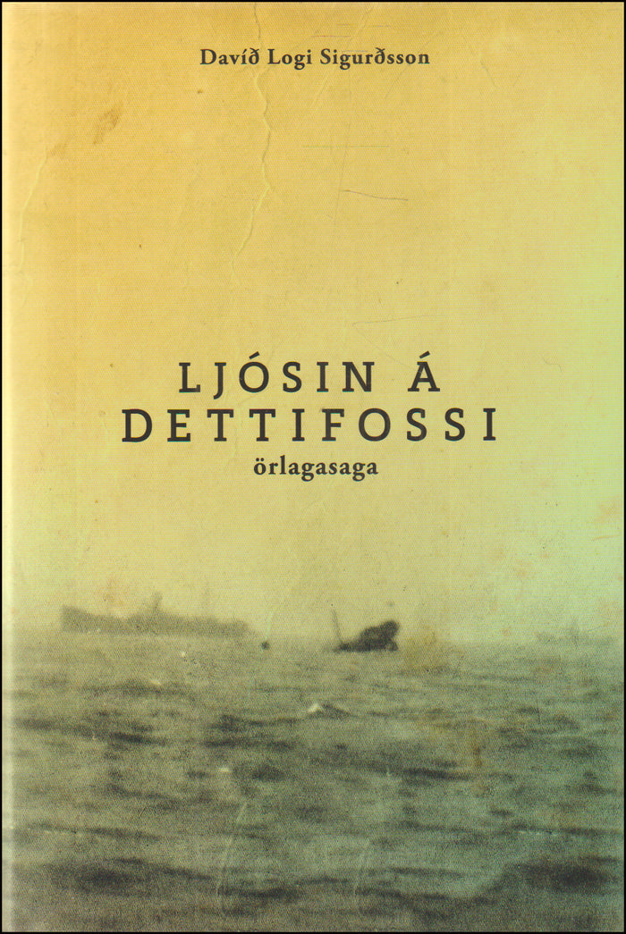 Ljósin á Dettifossi # 90545
