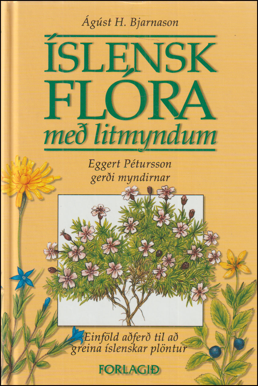 Íslensk flóra með litmyndum # 90586