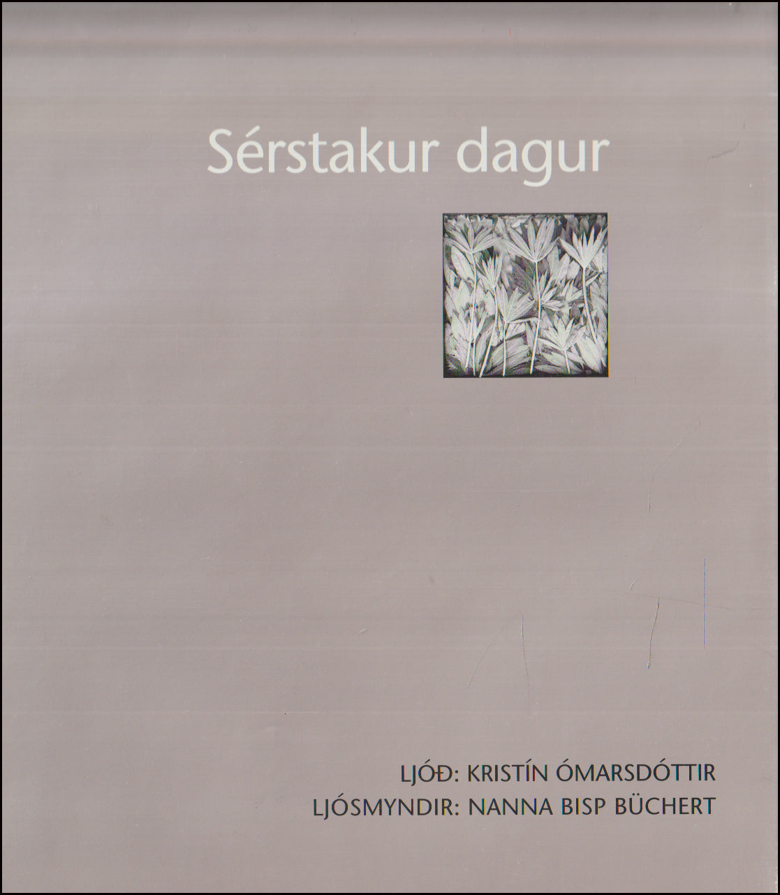 Sérstakur dagur # 90615