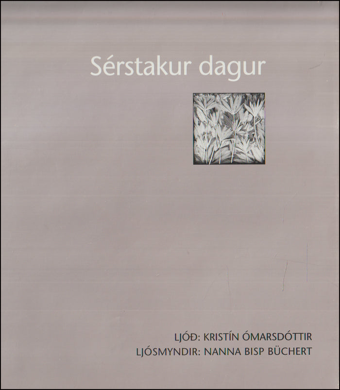 Sérstakur dagur # 90615