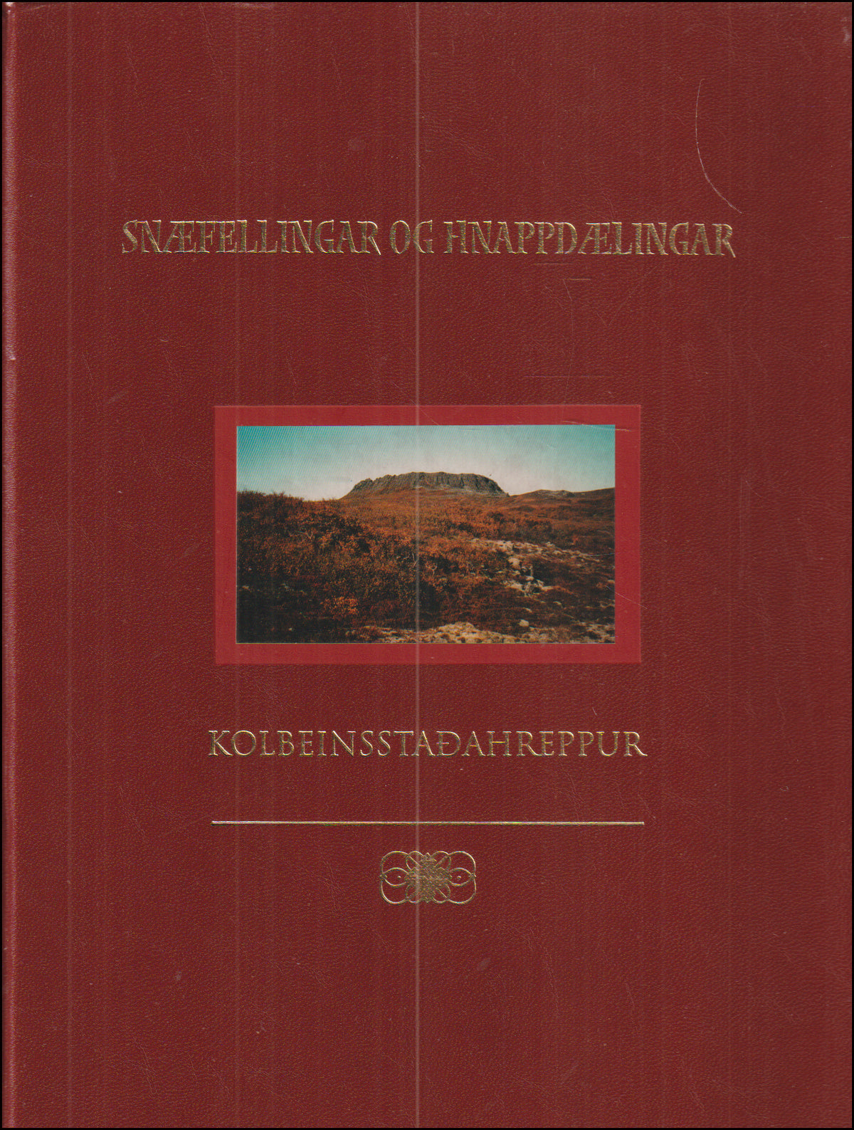 Kolbeinsstaðahreppur # 90850
