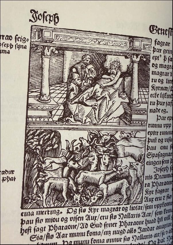 Biblía það er öll Heilög Ritning vtlögð a Norrænu # 90852