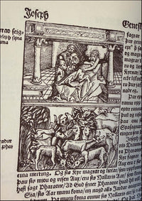 Biblía það er öll Heilög Ritning vtlögð a Norrænu # 90852