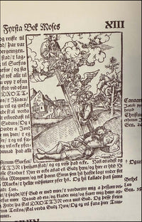 Biblía það er öll Heilög Ritning vtlögð a Norrænu # 90852