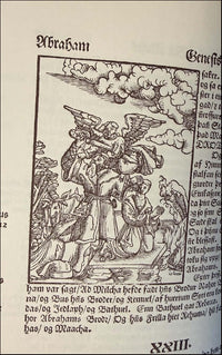 Biblía það er öll Heilög Ritning vtlögð a Norrænu # 90852