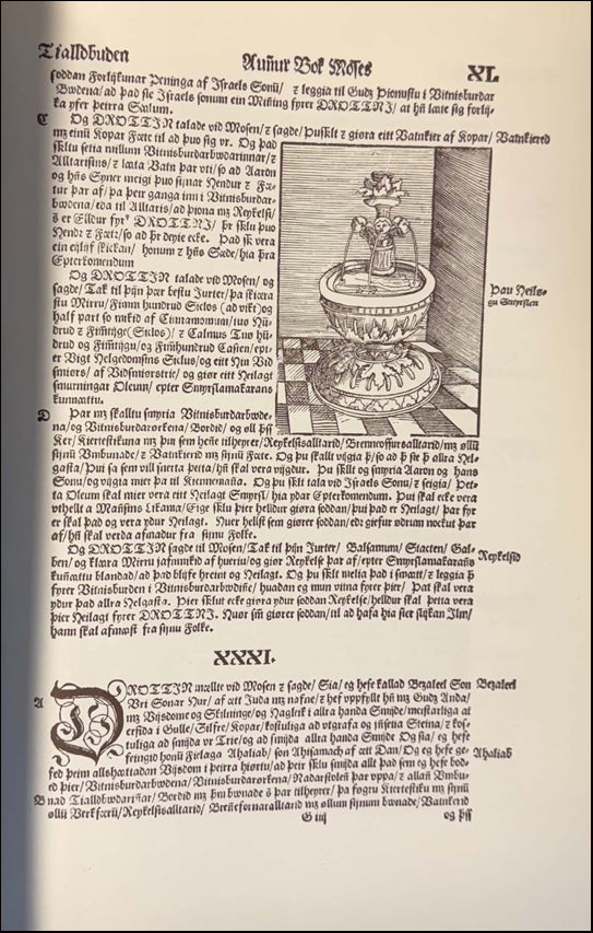 Biblía það er öll Heilög Ritning vtlögð a Norrænu # 90852