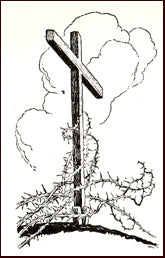 Nýja testamentið með myndum # 13427