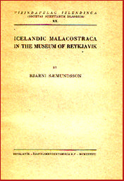 Icelandic malacostraca in the museum of Reykjavík # 5241