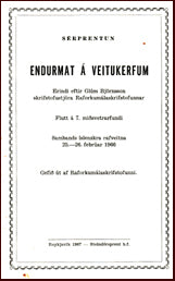 Endurmat á veitukerfum # 14249