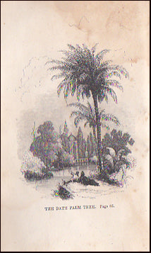 The Trees, Fruits and Flowers of the Bible # 20364