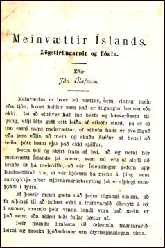 Meinvættir Íslands. Lögstirfingarnir og flónin # 20194