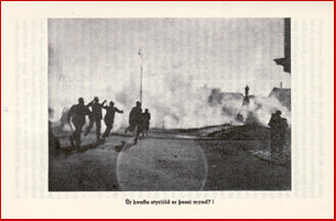 Þjóðin og kylfan # 6352