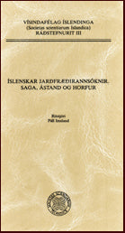 Íslenskar jarðfræðirannsóknir # 10384