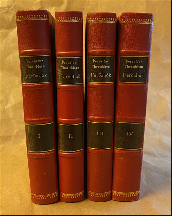 Ferðabók. Skýrslur um rannsóknir á Íslandi 1882-1898 # 89078