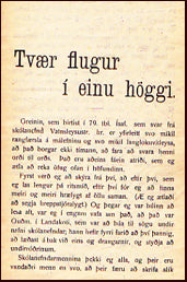 Tvær flugur í einu höggi # 15513
