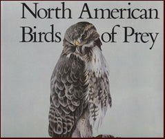 North American Birds of Prey # 14952